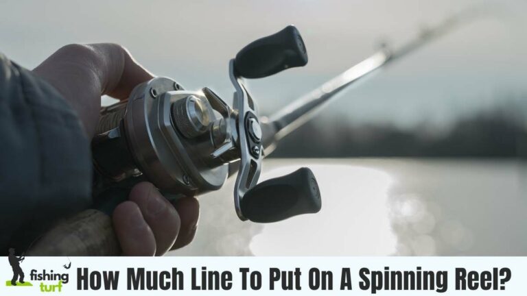 How Much Line To Put On A Spinning Reel