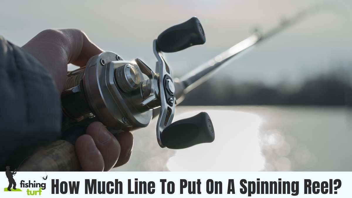 How Much Line To Put On A Spinning Reel: Optimal Performance