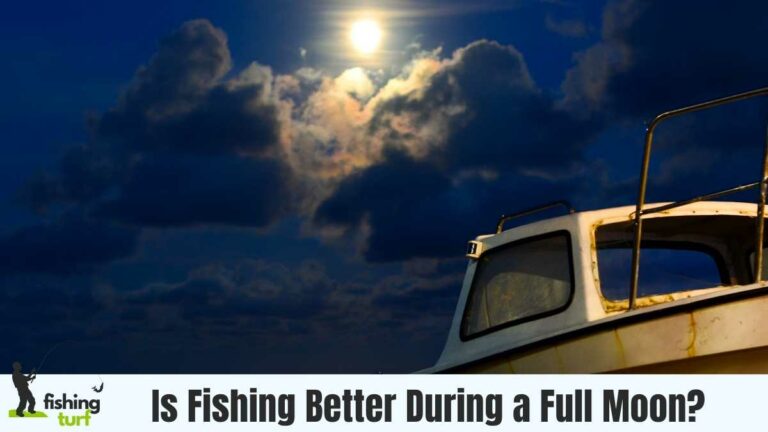 Is Fishing Better During a Full Moon