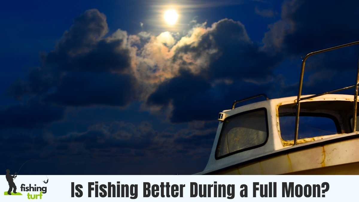 Is Fishing Better During a Full Moon? Just A Lunar Myth?