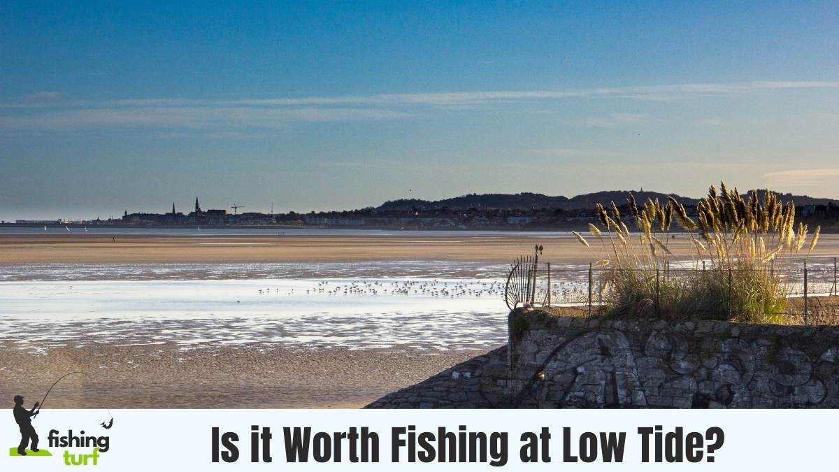 Is it Worth Fishing at Low Tide