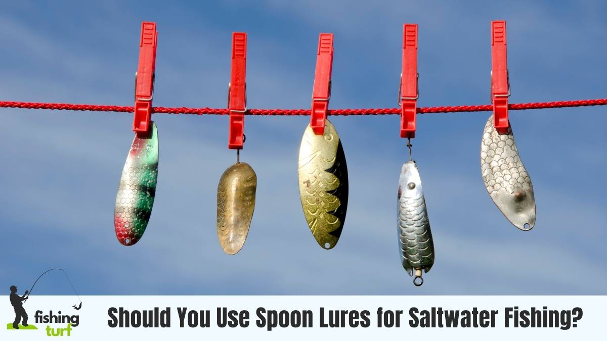 Should You Use Spoon Lures for Saltwater Fishing