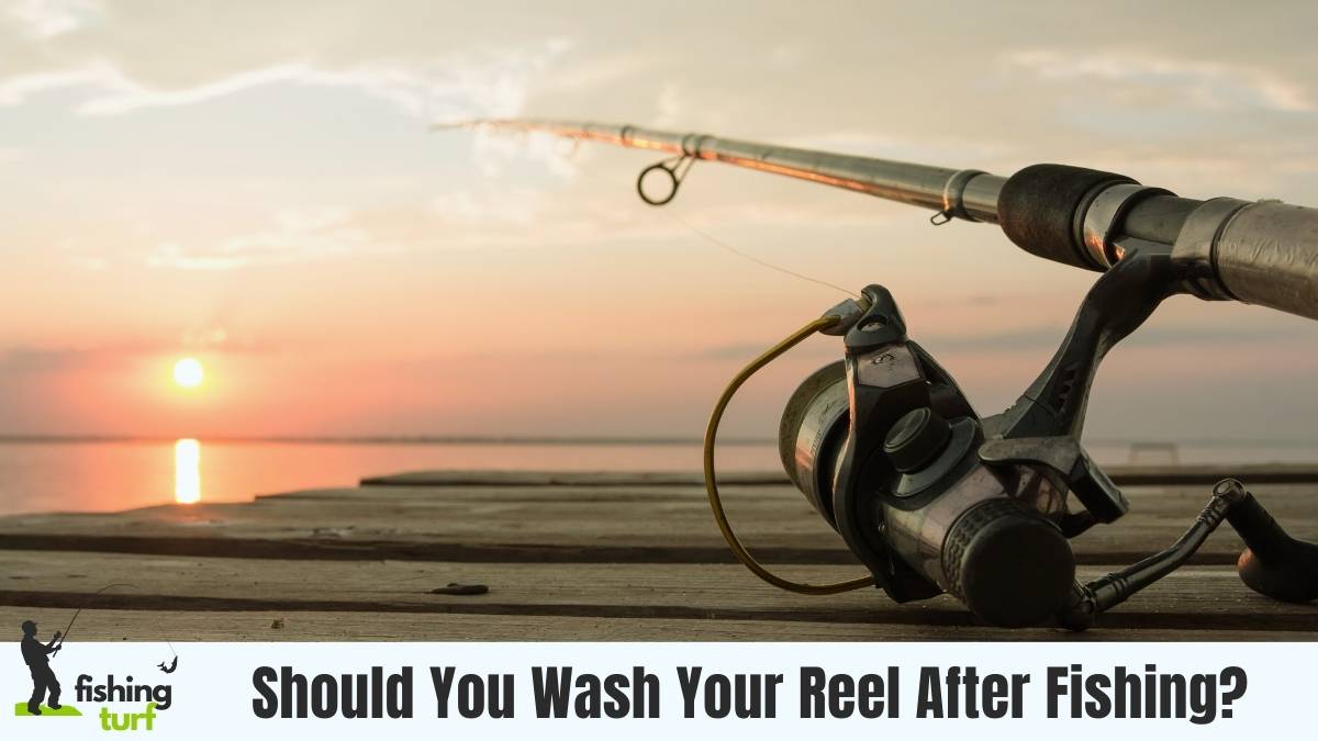 Should You Wash Your Reel After Fishing