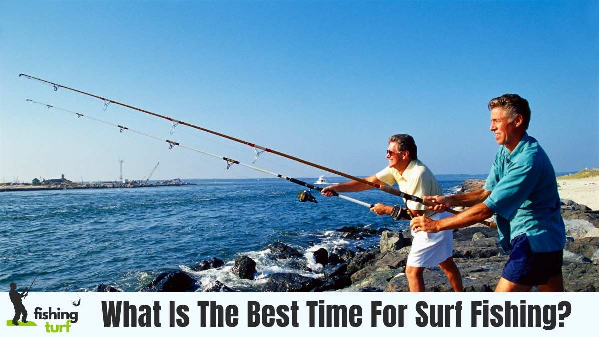 What Is The Best Time For Surf Fishing? Big Catch!