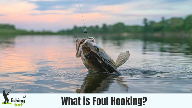 What is Foul Hooking