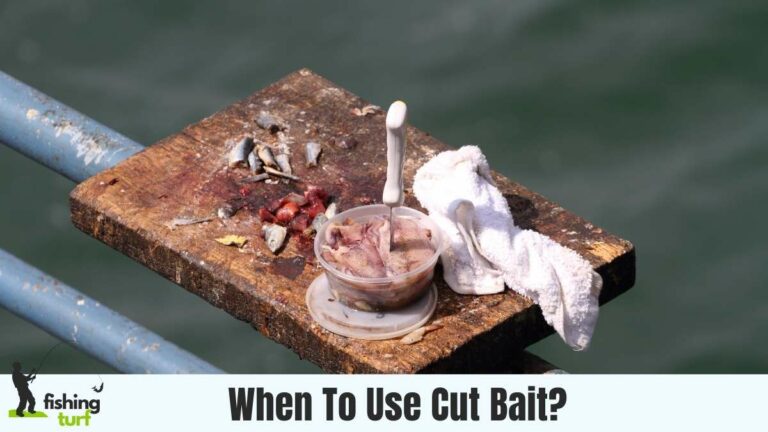 When To Use Cut Bait