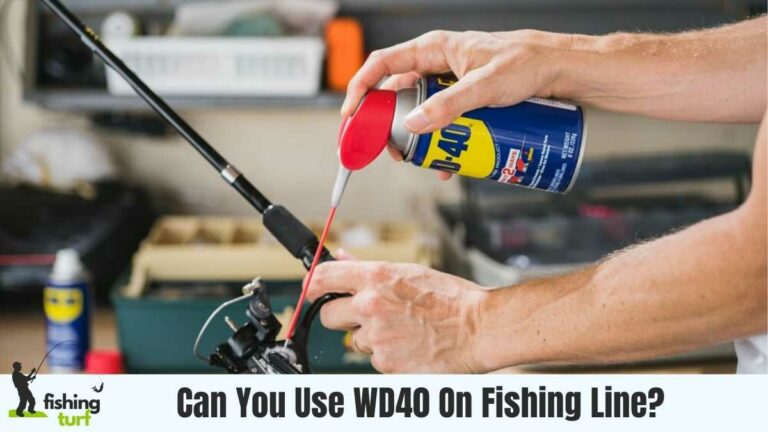 Can You Use WD40 On Fishing Line