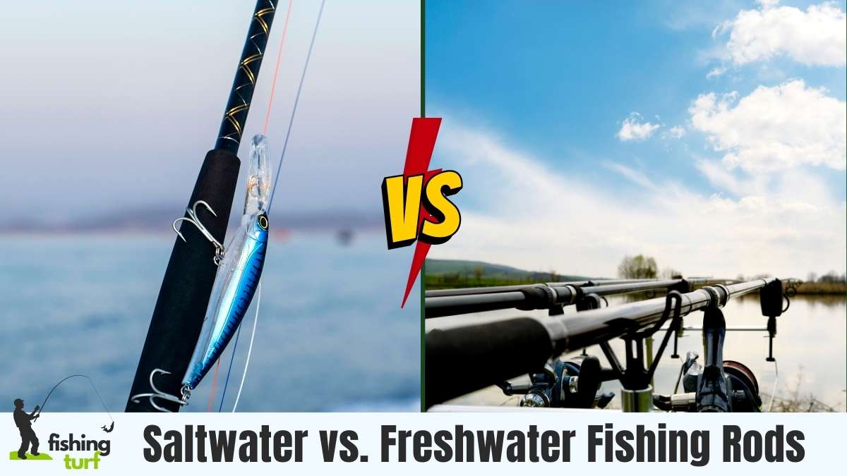 Saltwater vs. Freshwater Fishing Rods Key Differences