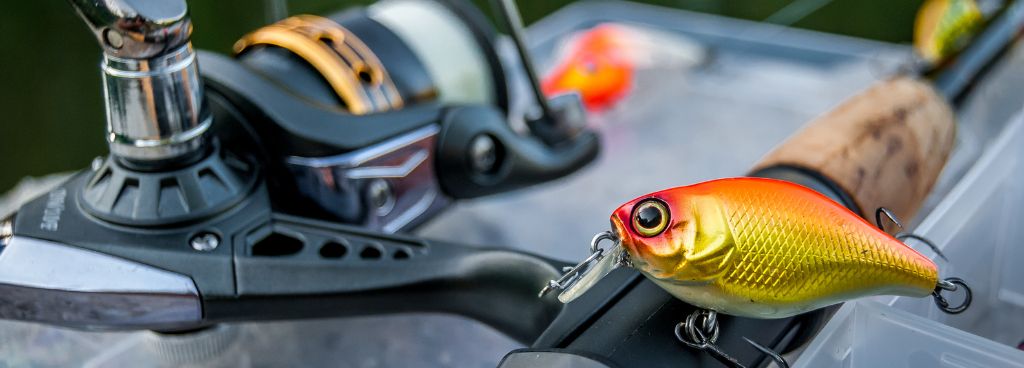 Personalizing Lures for Specific Fish Species