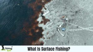 What Is Surface Fishing?