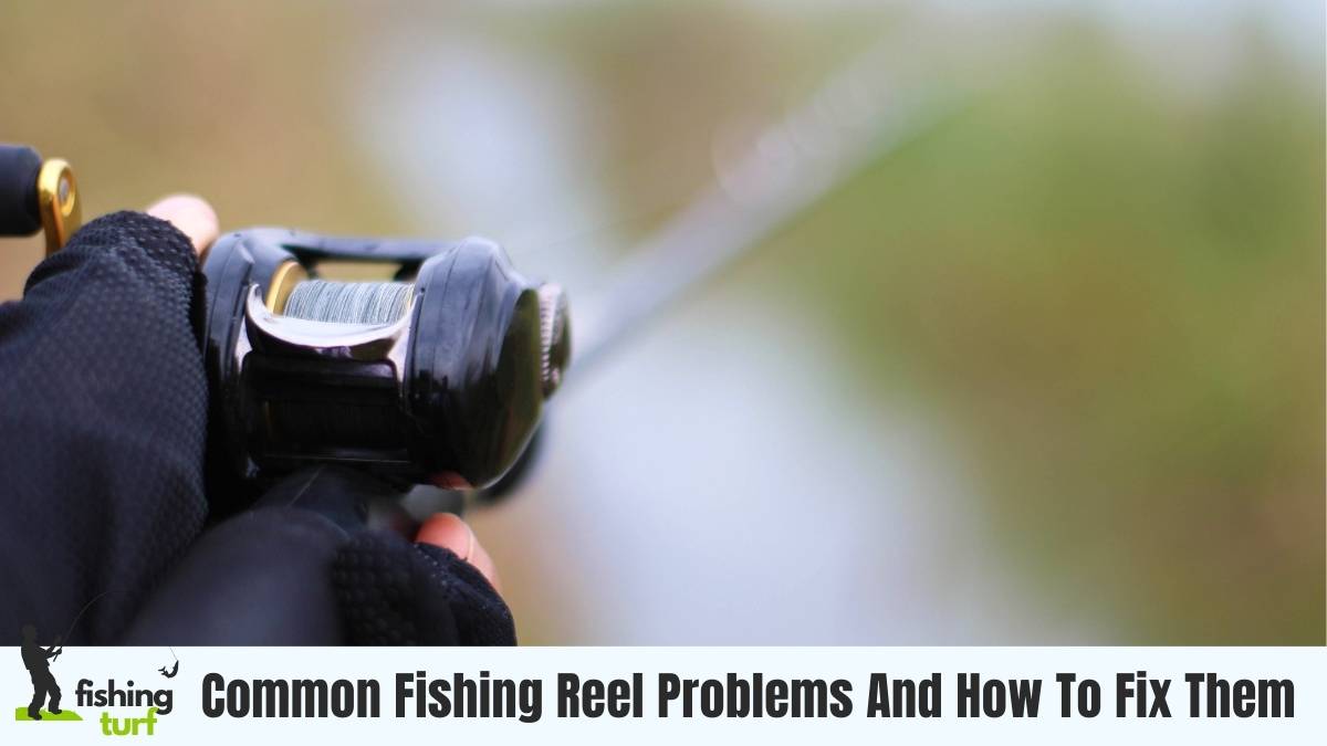 common-fishing-reel-problems-and-how-to-fix-them