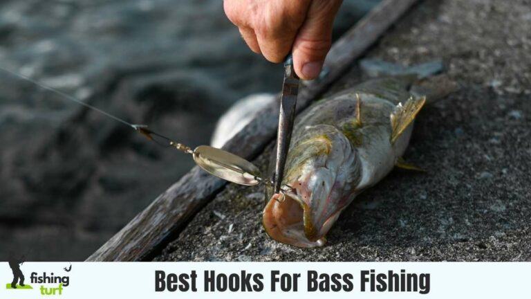 Best Hooks For Bass Fishing