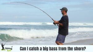 Can I catch a big bass from the shore