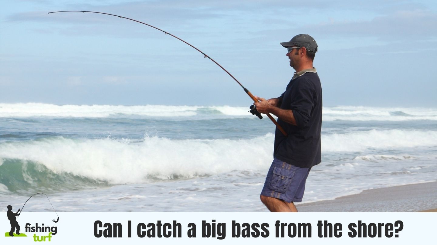 Rockin the Bass » Fisherman's Guide to Catching Bass on Rocks
