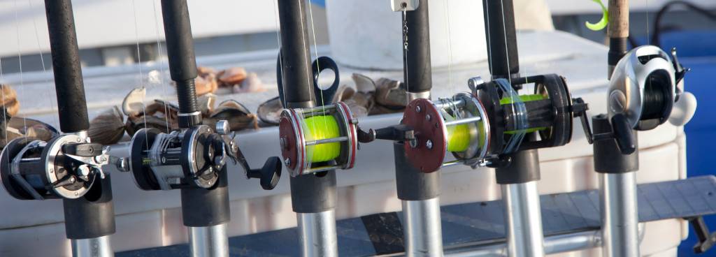 Spinning Rod vs Casting Rod: Key Differences