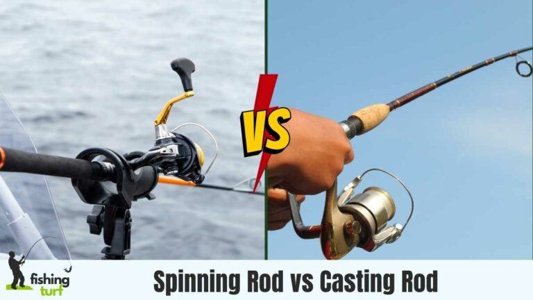Spinning Rod vs Casting Rod