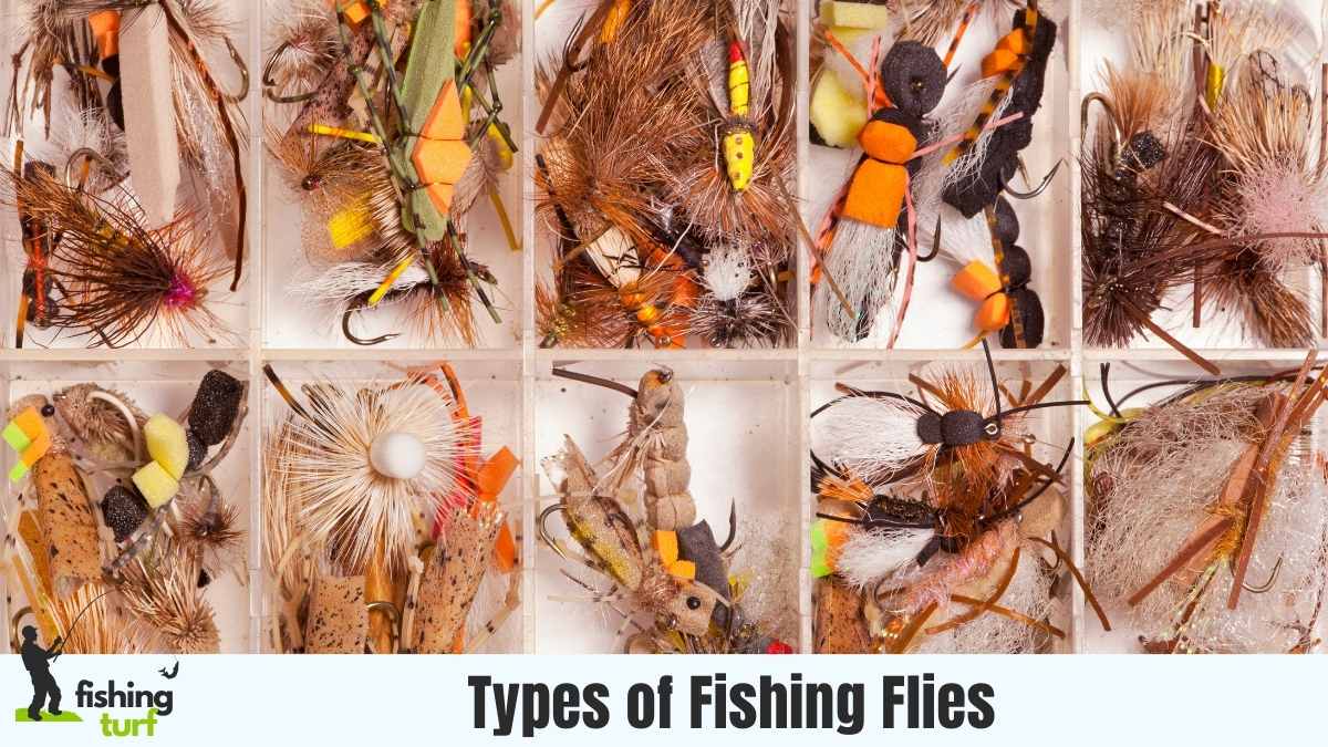 Types of Fishing Flies: Begginer's Guide