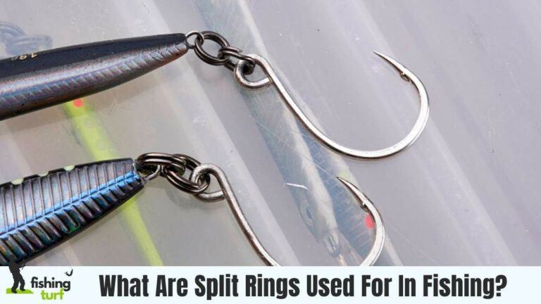 What Are Split Rings Used For In Fishing?